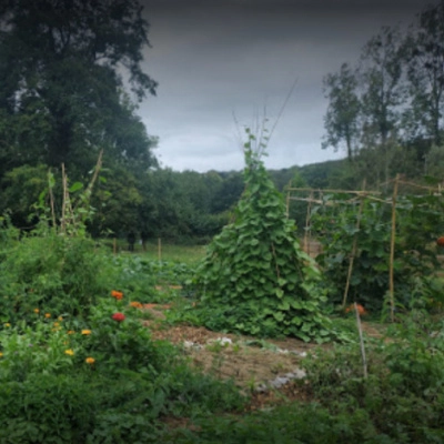 Terrains Viabilisés pour Construction Écologique dans l'Indre (36)