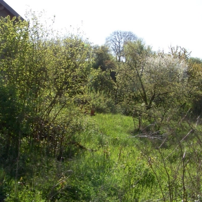 Rencontrer de Futurs Habitants pour notre Projet d'Habitat Partagé (54)