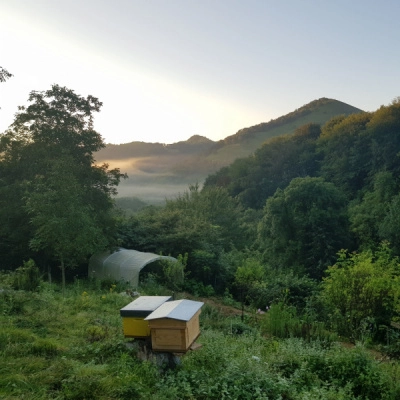 Recherche de Participants à la Vie Agricole et Collective (65)