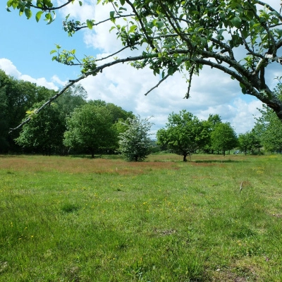 Habitat Participatif en Normandie-Bardouville (76)