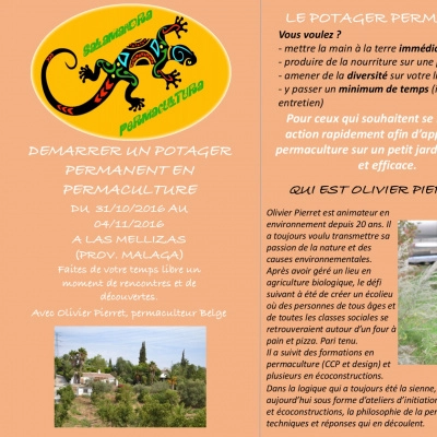 Démarrer un Potager Permanent en Permaculture (29)