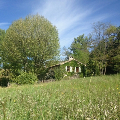 Création d'un Potager et Verger Partagé (04)