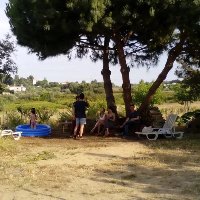 Au Portugal, sous le pin parasol