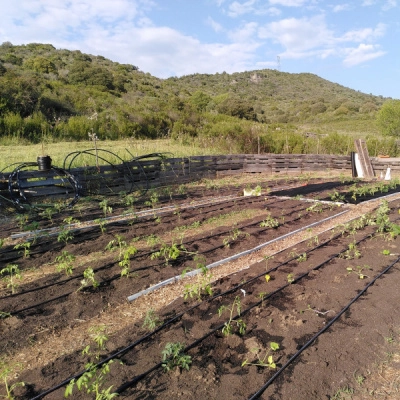 Cherche Permaculteur pour Ferme Familiale, Corse du Sud (2A)