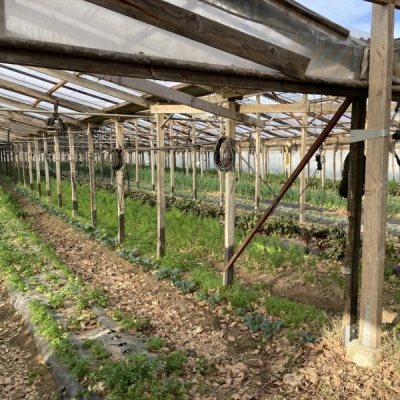 Terres Bio Depuis Toujours (83)