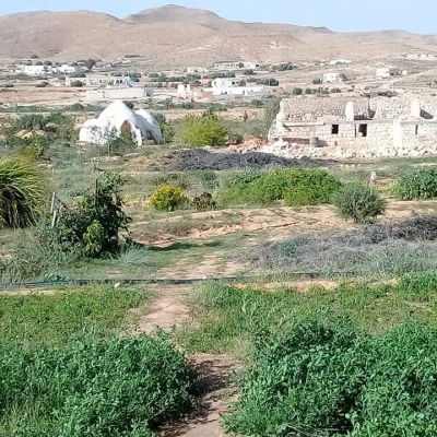 Couple pour Partenariat (oued)