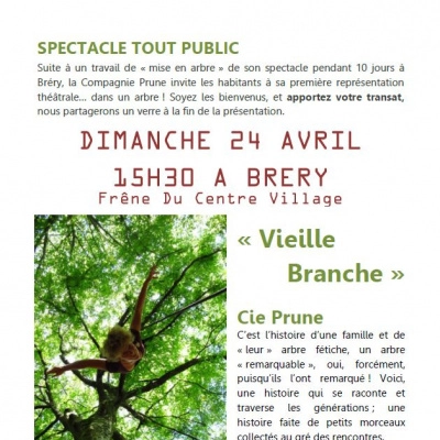 «Vieille Branche " , Spectacle dans un Arbre (39)