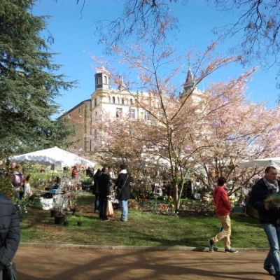 Foire aux Plantes Rares de Saint-Priest (69)