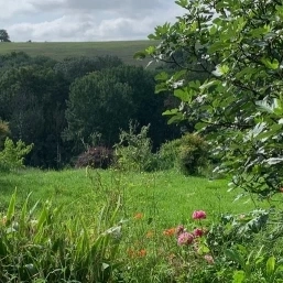 Habitat Partagé Féministe (24)