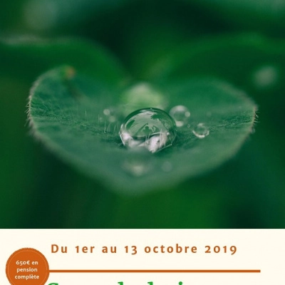 Cours Certifié en Premaculture (31)