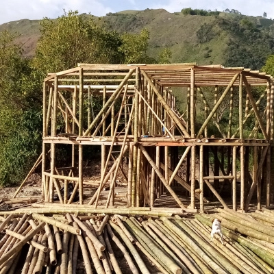 Création d'une communauté en Colombie, avec Bambou et Sagesses des (…)