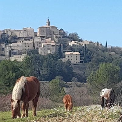 Echange Logement Caravane contre Aide à la Ferme