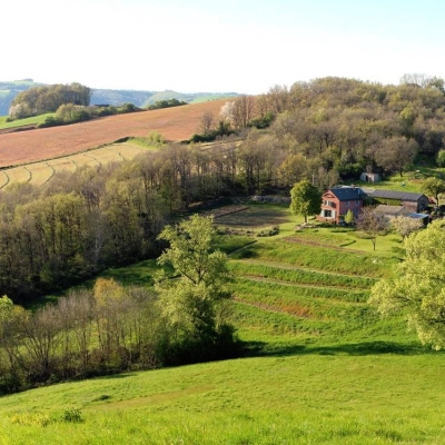 Vente Ferme Bio 4ha en Production Végétale Diversifiée (12)