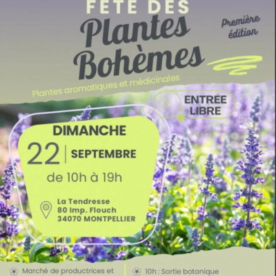 Fête des Plantes Bohêmes (34)