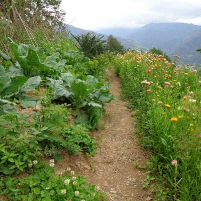 Ferme Autonome de Montagne Accueille de Nouveaux Résidents (09)