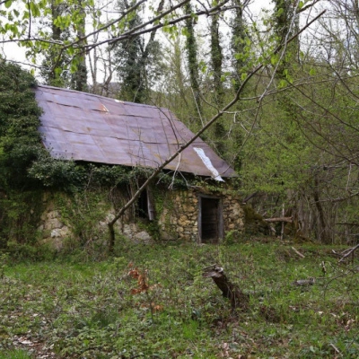 Vivre dans les Bois