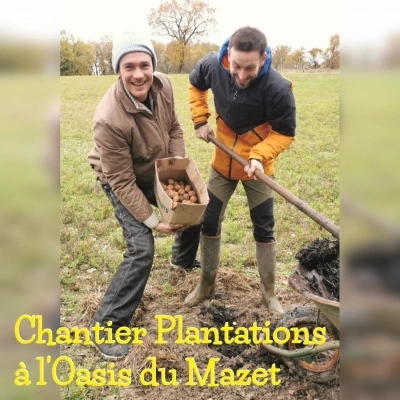 Chantier Participatif Plantation (47)