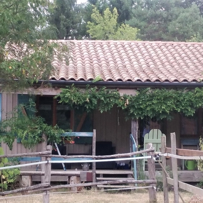 Vente Maison + Gîte Bois + Écurie sur Terrain 17000 m² (24)