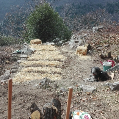 Projet Permacole Ardèche du Sud (07)