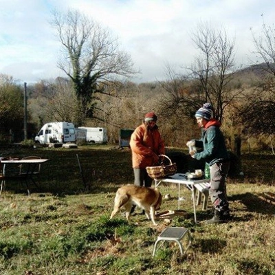 Cherche Humain Bienveillant pour Garde Jeune Chien (38)