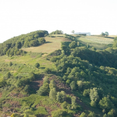 Elevage Ovin avec 8 à 10 ha-Sud Cantal (15)