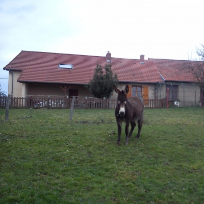 Auvergne Allier Petit Studio 1 Personne à la Ferme (03)