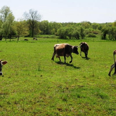 Nous Rejoindre pour Création d'un Collectif Agricole sur une Ferme (24)