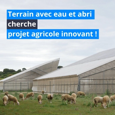 Agriphotovoltaïsme : recherche de projets agricoles innovants (34)