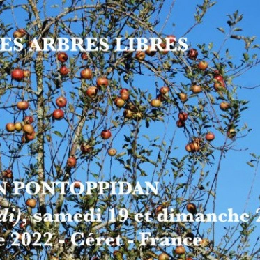 Formation la Taille des Arbres Libres (66)