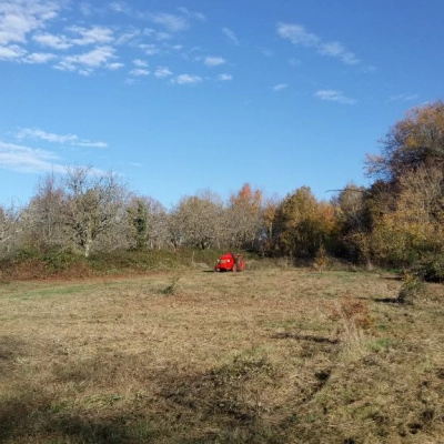 Cherche co-Habitantes sur une Ferme en Dordogne (24)