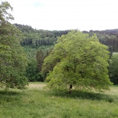 Seul on Va Plus Vite à Deux on Va Plus Loin (63)