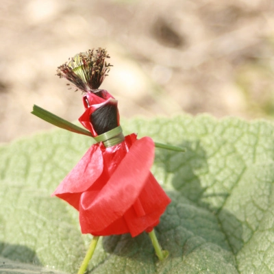 Recherche jardinièr(e) experiment(é) et créative (66)