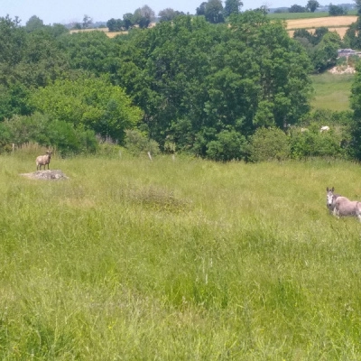 Vente d'un Lieu Naturel à Découvrir (85)