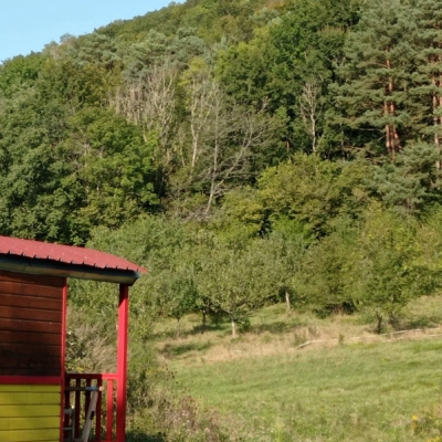 Roulotte et Terres à Cultiver contre Entretien Sérieux (39)