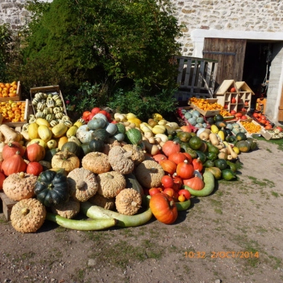 Recherche Assistant Maraicher dans Écocentre en Permaculture (71)