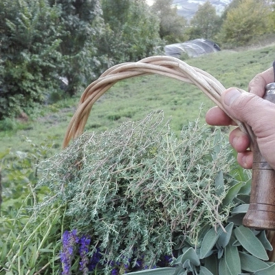 Projet Permacole Ardèche du Sud (07)