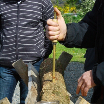 Atelier: Culture de Champignons sur Bûche (22)