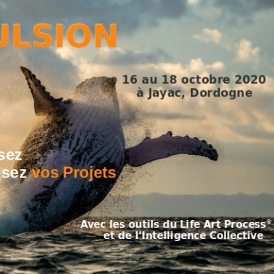 Impulsion (24)