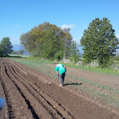 Sur la ferme Coloquinte