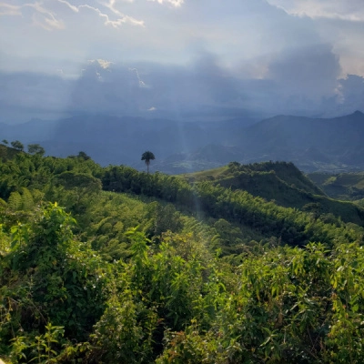 Ecolieu en Colombie