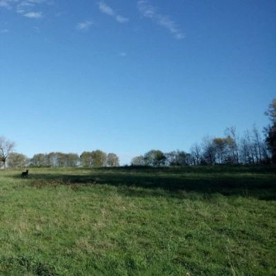 Cherche co-Habitantes sur une Ferme en Dordogne (24)