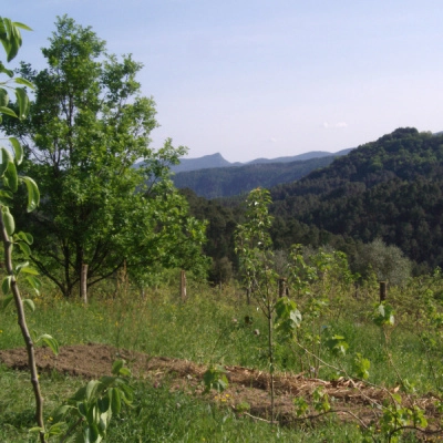 Stage de Formation: Jardin-Forêt Fruitier (07)