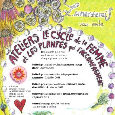 Ateliers Cycle de la Femme et les Plantes qui l'Accompagnent (31)