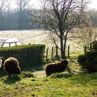 Gardiennage et Soin aux Animaux contre Petit Loyer (39)