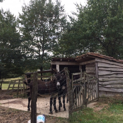 Idéal pour Écolieu ou Ferme Pédagogique (40)