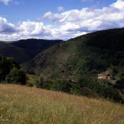 Ferme avec Maison d'Habitation (43)